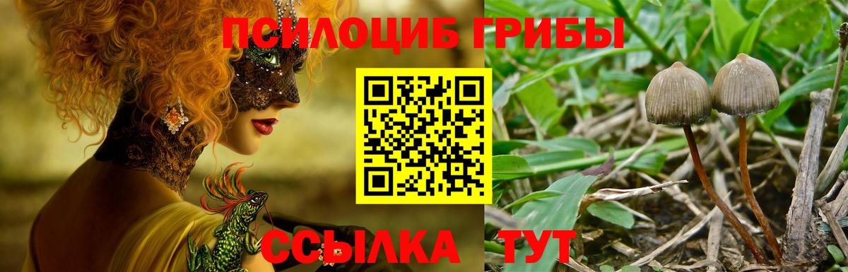 Галлюциногенные грибы GOLDEN TEACHER Верхний Уфалей